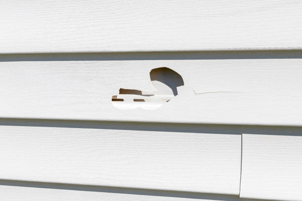 Best Property Management Cleanouts  in Fall River, MA