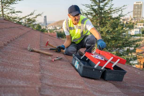 Best Hoarding Cleanup  in Fall River, MA